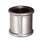 Socket 3/4" - 3/4"