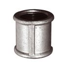 Socket 1/2" - 1/2